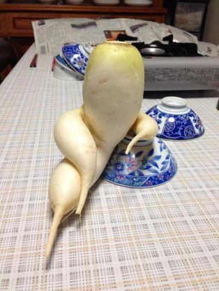 【ジャンル問わず】ただただ好きな画像を貼って立ち去るトピ