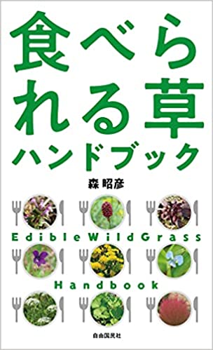 南アルプス・聖岳で行方不明になった男性、1週間後に自力で下山…野草など食べサバイバル