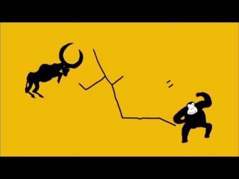 テレビＣＭ　「開発好奇心集団」【レクザム】 - YouTube