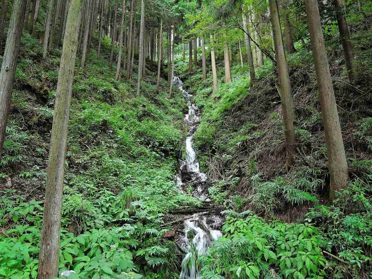 やっと始まる外資の土地取引規制、阻むのは何者？ 秘かに買収される日本の領土、次世代に引き継がなくてよいのか(1/3) | JBpress (ジェイビープレス)