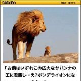 娘は高1にもなって夢見がち。中学では勉強しなかったし、中学受験期も直前数ヶ月し... | ガールズちゃんねる - Girls Channel -