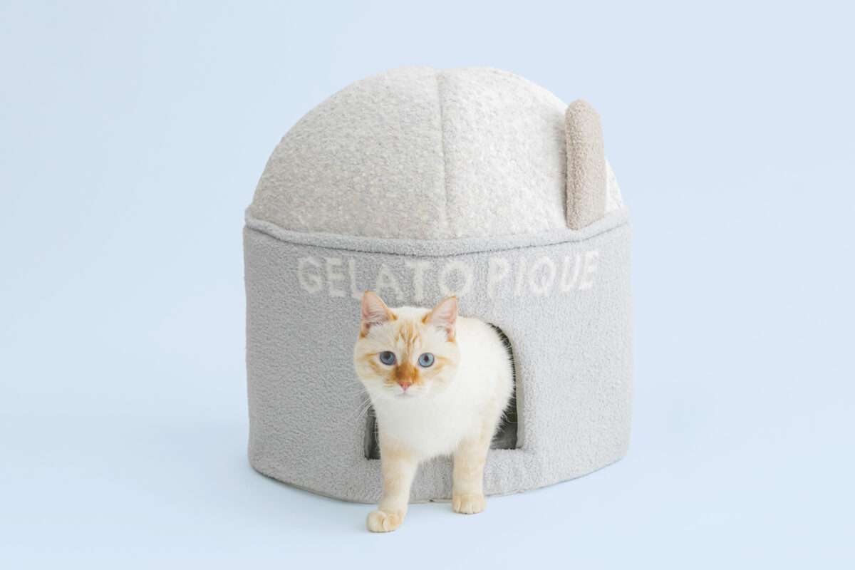 「ジェラート ピケ」が初の犬猫用アイテム発売！　もこもこウェア＆ハウスが8月10日デビュー