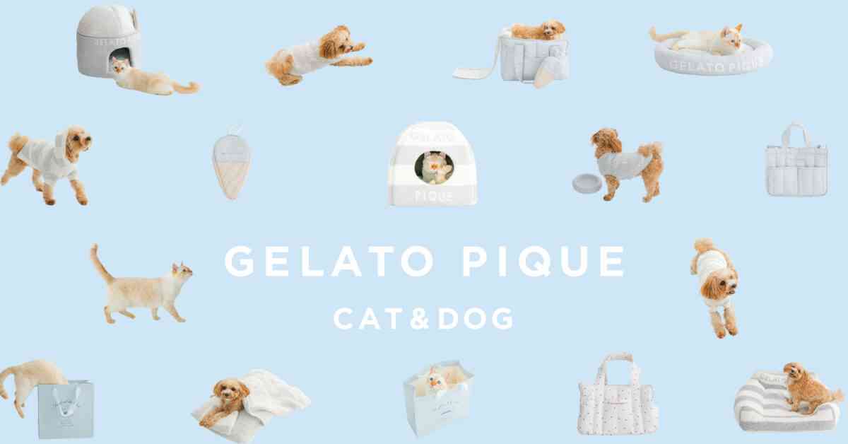 「ジェラート ピケ」が初の犬猫用アイテム発売！　もこもこウェア＆ハウスが8月10日デビュー