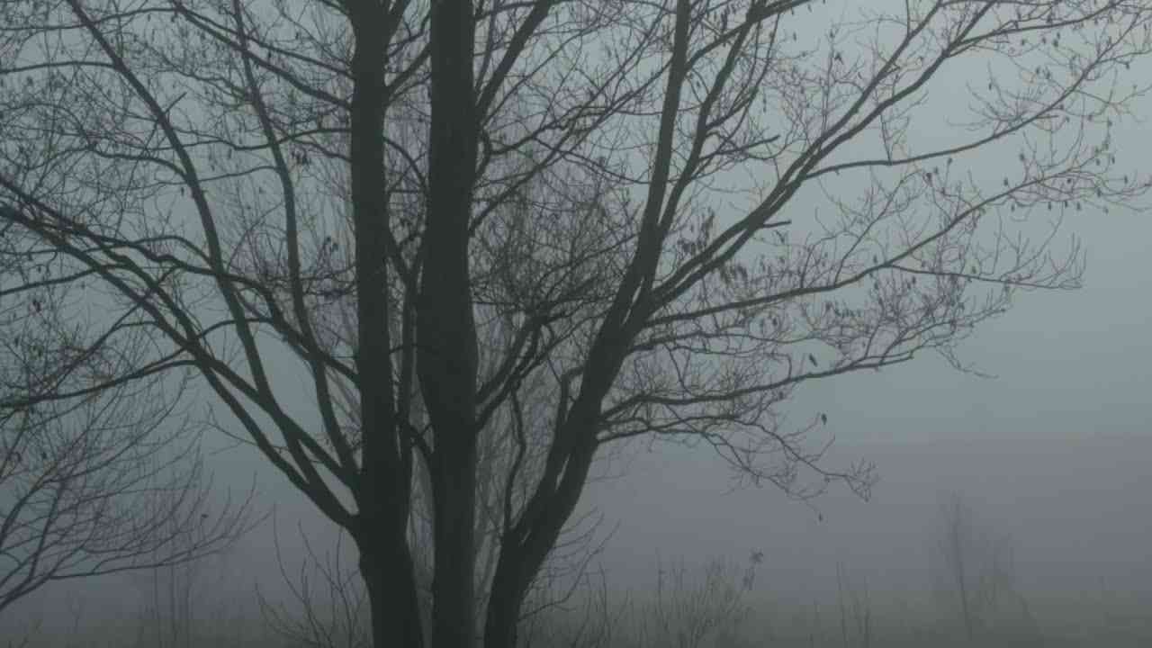 #坂本慎太郎　悲しみのない世界 （女子高生バージョン） - YouTube