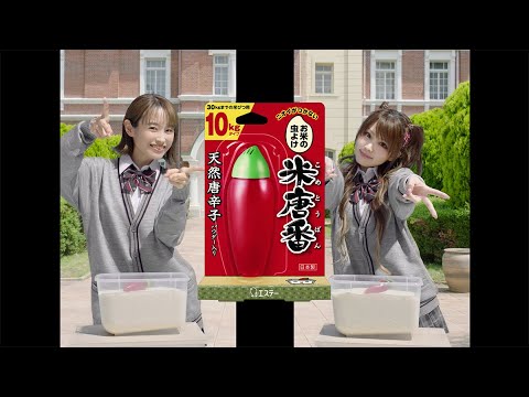 米唐番「いれるのいれないの」篇　３０秒Ｃ