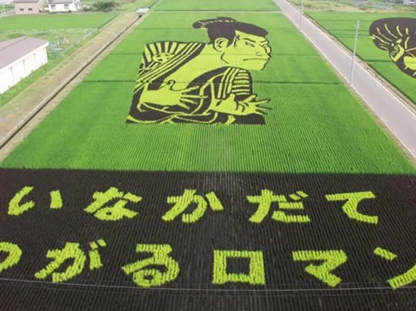 19年でルネサンスが起こってる...　田舎館村「田んぼアート」の進化が凄まじすぎる件