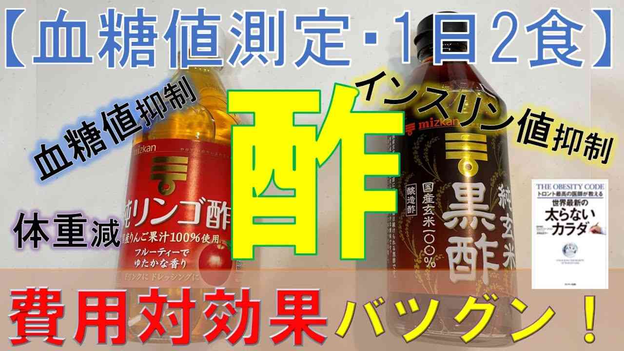 【血糖値測定・1日２食】これは薬なのか！？  酢に興味がなかった人生に終止符。 - YouTube