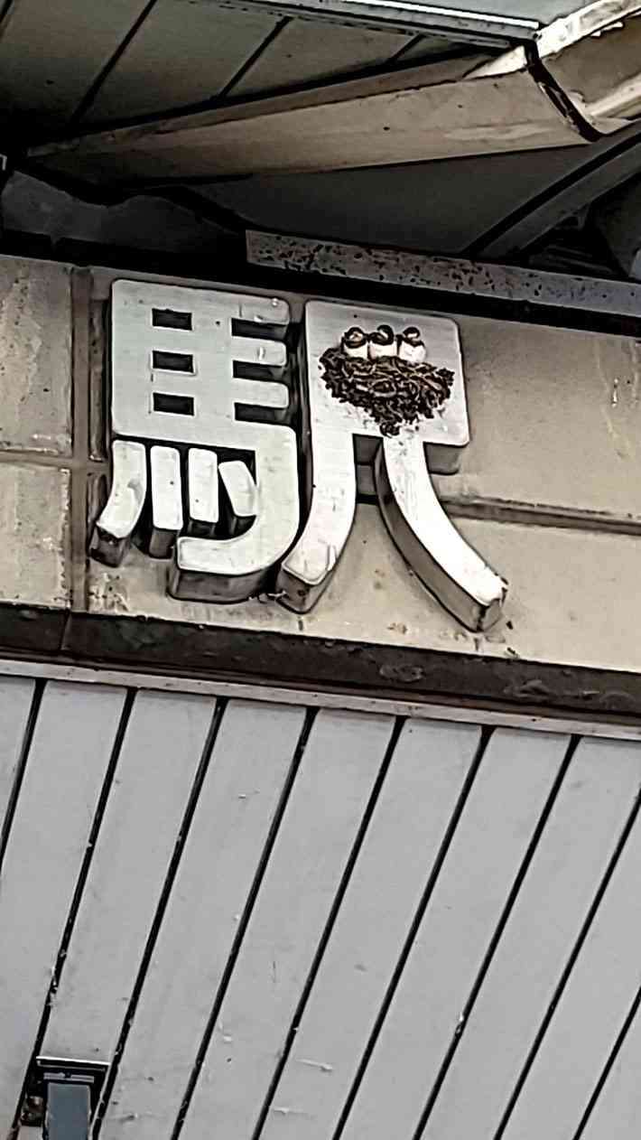 【ジャンル問わず】ただただ好きな画像を貼って立ち去るトピ