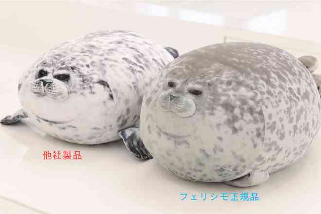 「この可愛さ、半端ない！」小さすぎる岩で昼寝するアザラシの動画に癒やされる人が続出