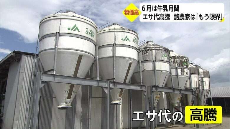 「牛乳をたくさん飲んでほしい」酪農家が悲鳴　コロナ禍に続く飼料価格の高騰に