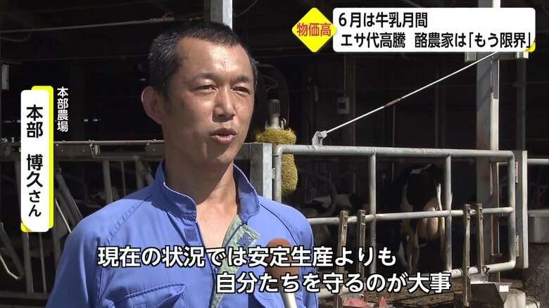 「牛乳をたくさん飲んでほしい」酪農家が悲鳴　コロナ禍に続く飼料価格の高騰に