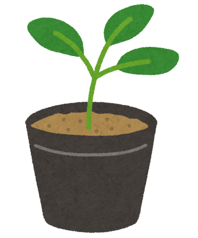 長期不在時の植物の水やり
