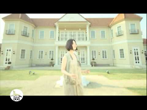 坂本真綾 / everywhere 【PV】 - YouTube