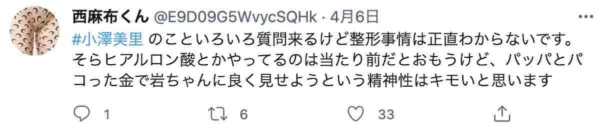 西麻布くん「『パパ』とパコった金で小澤美里は岩田剛典に良く見せている。整形は…」 - エンタメ