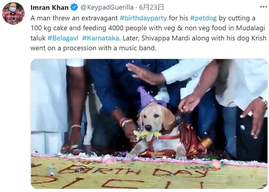 愛犬の誕生日を盛大にお祝い　100キロのケーキと4000人のゲストを招待した飼い主に賛否の声（印）