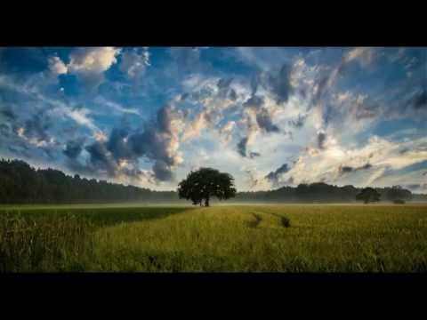 作業用BGM　楽しい気分になるケルト音楽 - YouTube