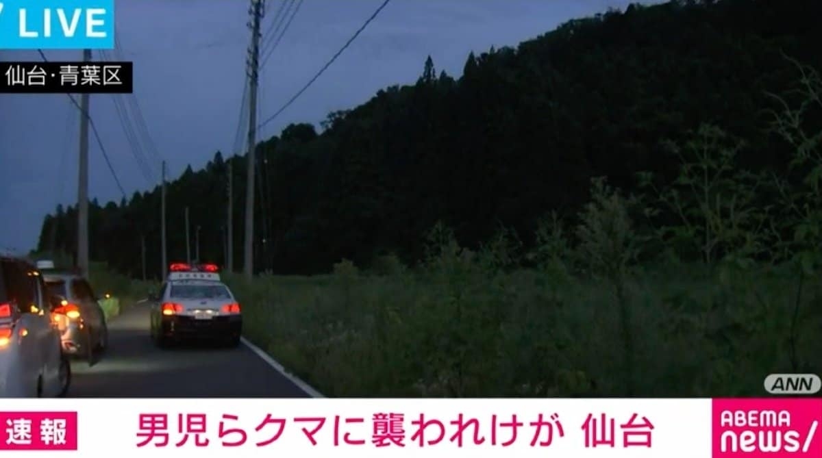 「熊に襲われている人がいる」 10歳前後の男の子と60代男性がけが 仙台市