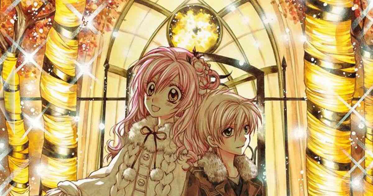 少女漫画家・種村有菜先生のアナログへのこだわりが語彙力を失うレベルですごい #種村有菜原画展 - Togetter