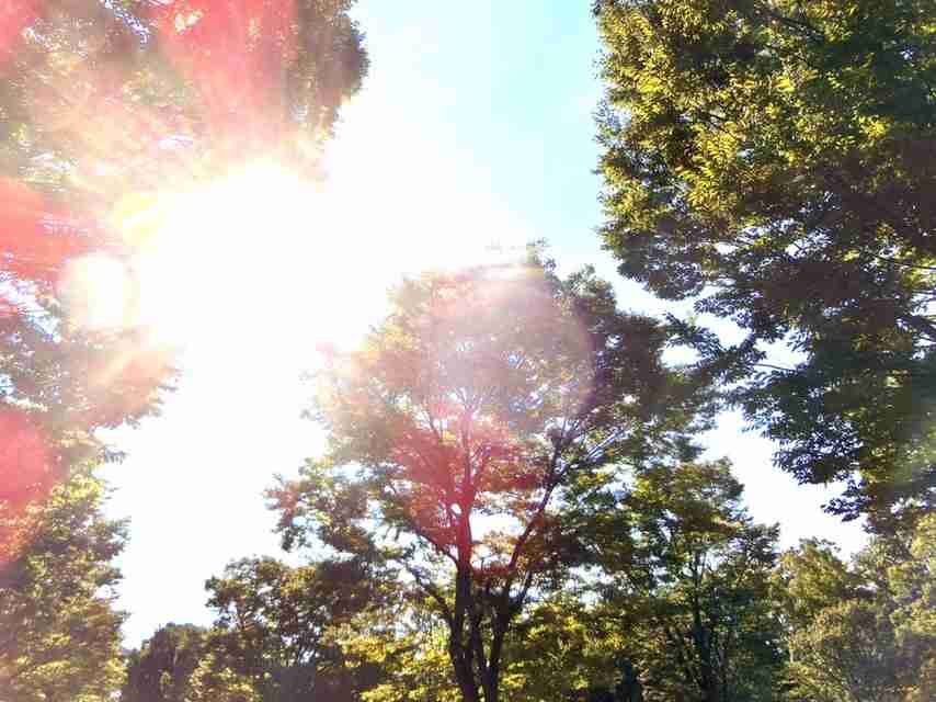 私たちの新学期 | 細川茂樹オフィシャルブログ Powered by Ameba