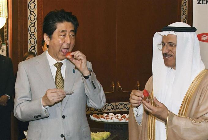 ＵＡＥで日本産果物ＰＲ　首相「世界に誇る食材」 - 読んで見フォト - 産経フォト