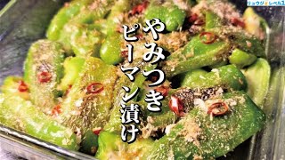 丸焦げと苦情→料理研究家が反論「レシピ通りに作ってください」　ネット同情…虚偽クレーム指摘も