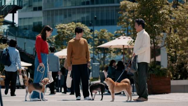 綾瀬はるか『news23』で戦争・平和を考える「想像をふくらませて学んでいきたい」