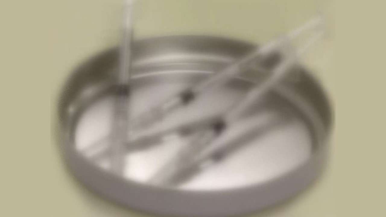3歳女児に誤ってコロナワクチン接種 千葉県市川市（チバテレ） - Yahoo!ニュース
