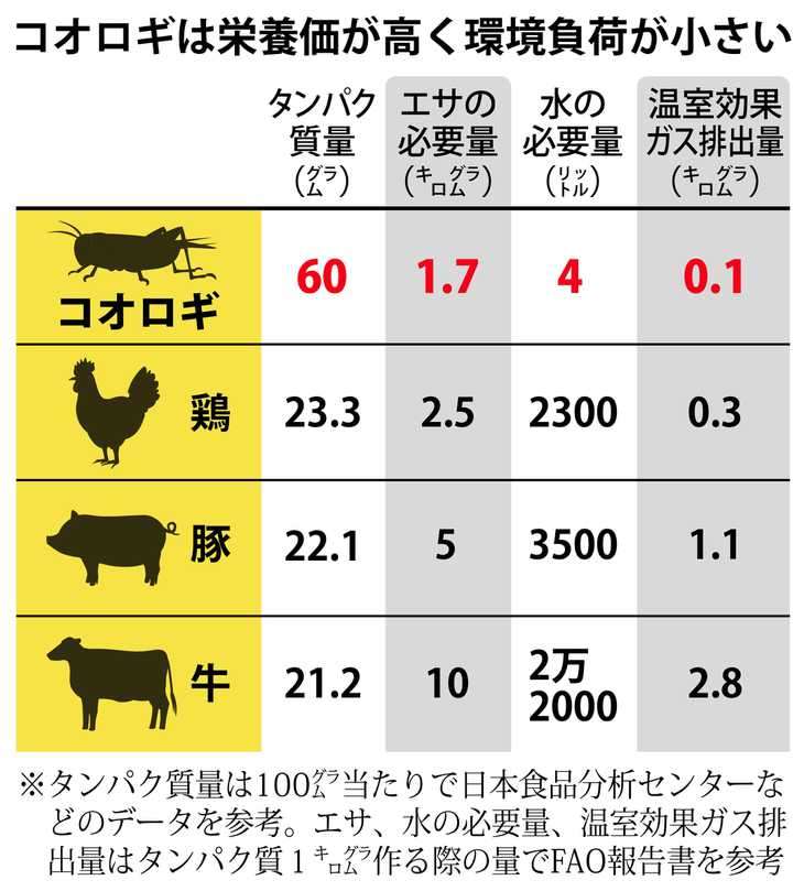 「食用コオロギ」ルール整備で生産拡大 食料安全保障追い風に昆虫食普及へ