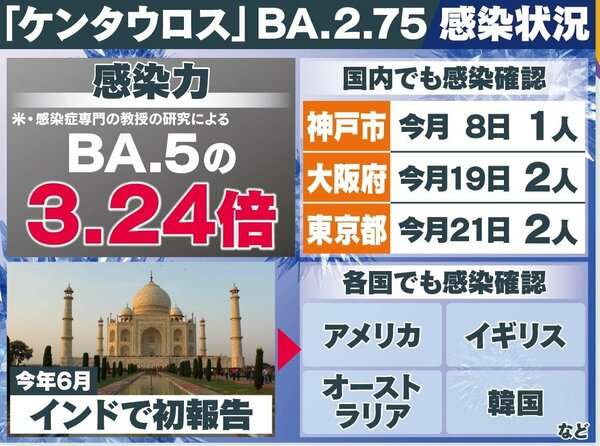 “感染力3倍”新たな亜種『ケンタウロス』国内初確認 感染ピーク山が大きくなる可能性も