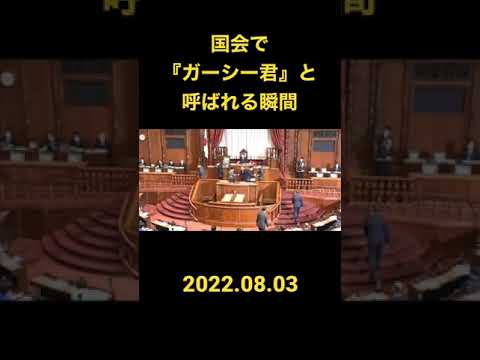 国会でガーシー君と呼ばれる瞬間＃shorts #国会 - YouTube