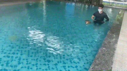 【定期】2gether the seriesについて話そうPart29【タイBL】