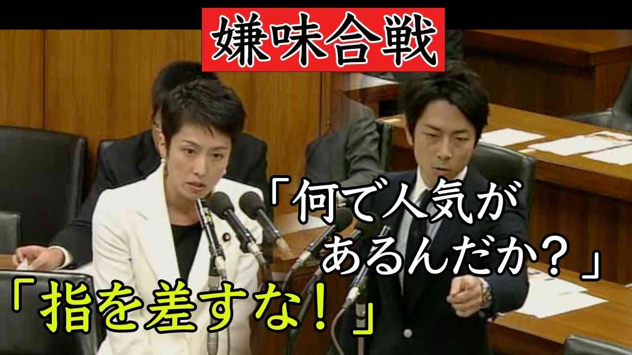 【国会】嫌味合戦　小泉「なぜ人気があるんだか？」蓮舫「指を差すな！」 - YouTube