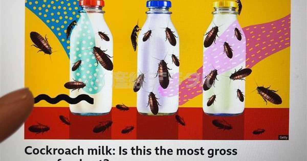 【Ｗｏｒｌｄ衝撃】人類を救う「ゴキブリのミルク」…栄養は牛乳の３倍、スーパーフード（1/3ページ） - 産経ニュース