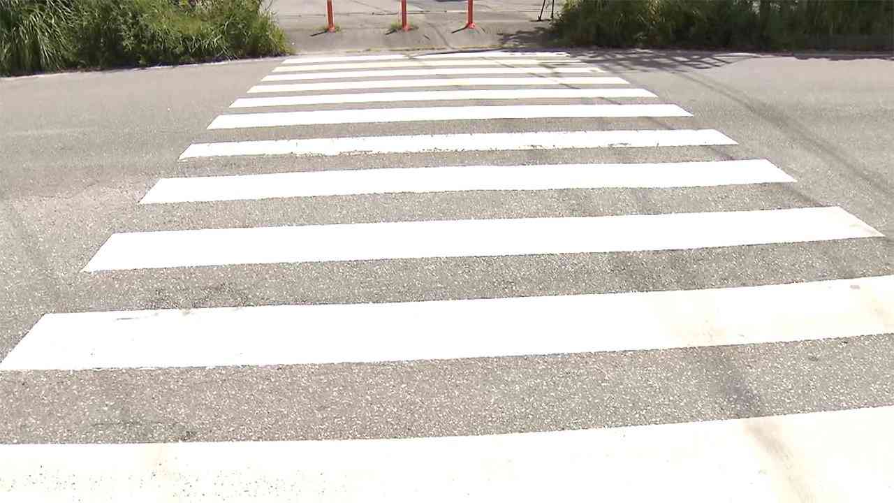 園児7人はねられ 21歳女を逮捕　赤信号無視 アルコールを検出（フジテレビ系（FNN）） - Yahoo!ニュース
