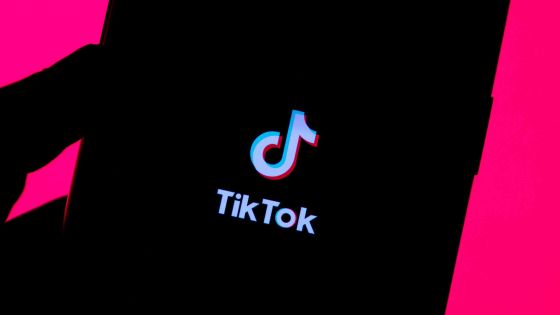 TikTokがアメリカ人のデータを中国に流すバックドアを仕込んでいるとの報道 - GIGAZINE