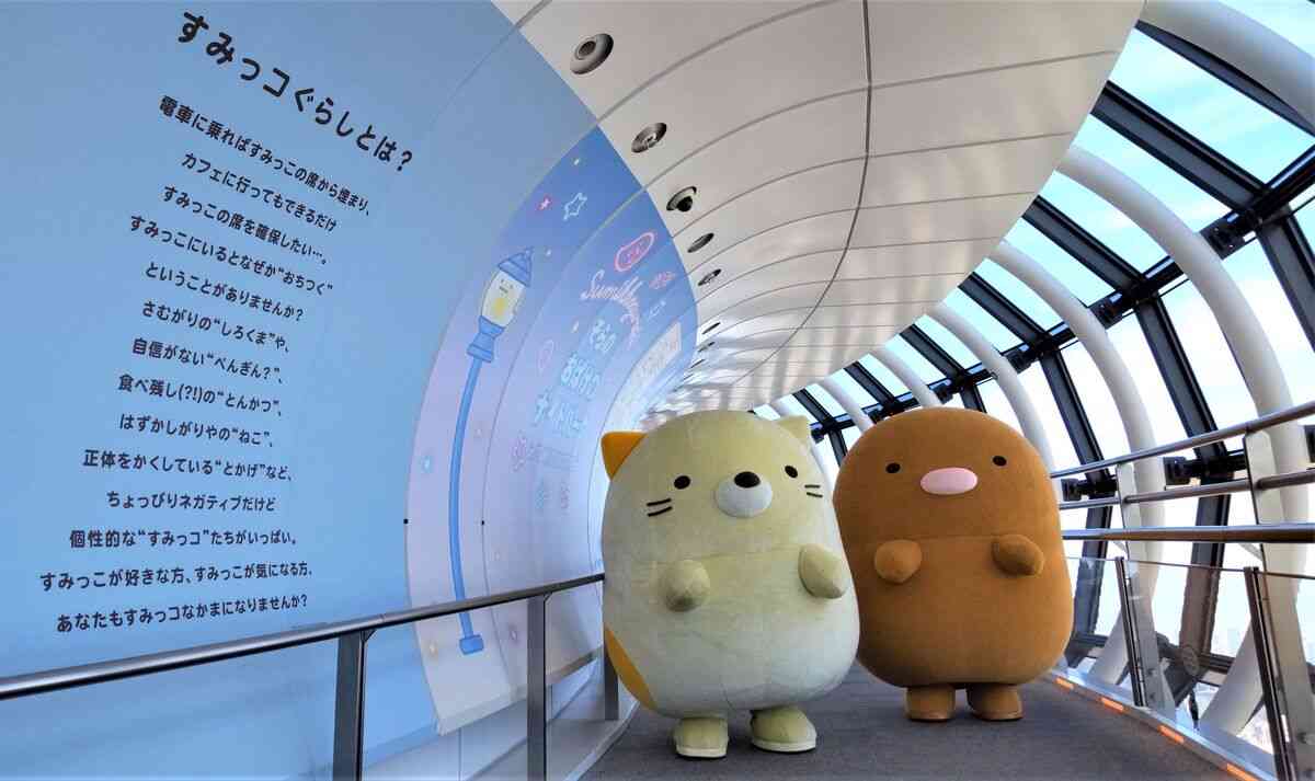 「すみっコぐらし×東京スカイツリー」コラボイベント開幕！「ねこ」と「とんかつ」地上450メートルでお出迎え