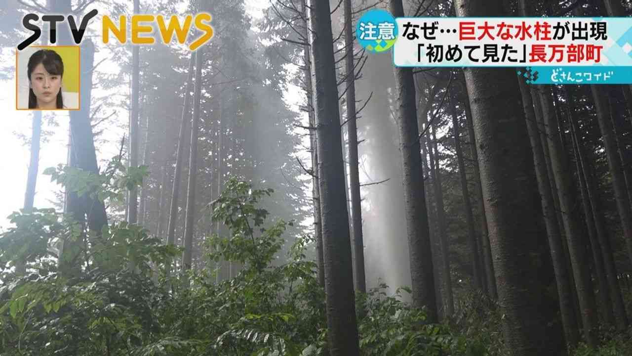 突然神社に30mの水柱出現 温泉か - Yahoo!ニュース