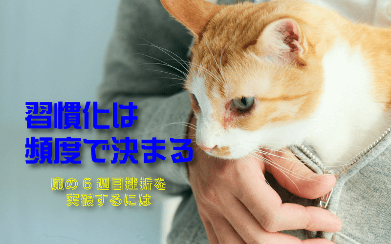【6週間で挫折激増】週何回で続ければ習慣化するか判明【ビクトリア大学】