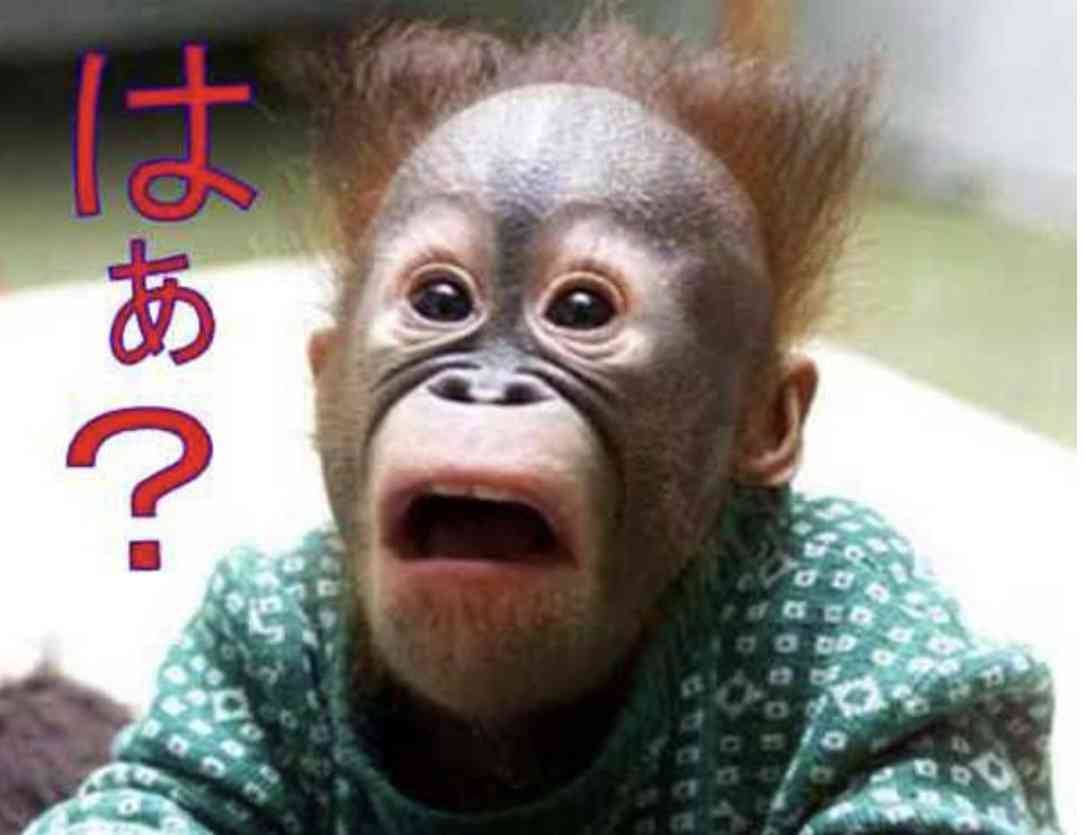 飯がマズイと言われたことのある奥様集合‼︎‼︎