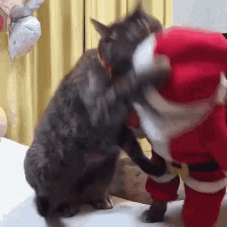 喧嘩してる動物たち
