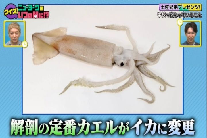 解剖の定番カエルが“イカ”に…学校で長らく続いた「当たり前」に廃止や変更 身体測定や卒業式も違う昔と今 | 東海テレビNEWS