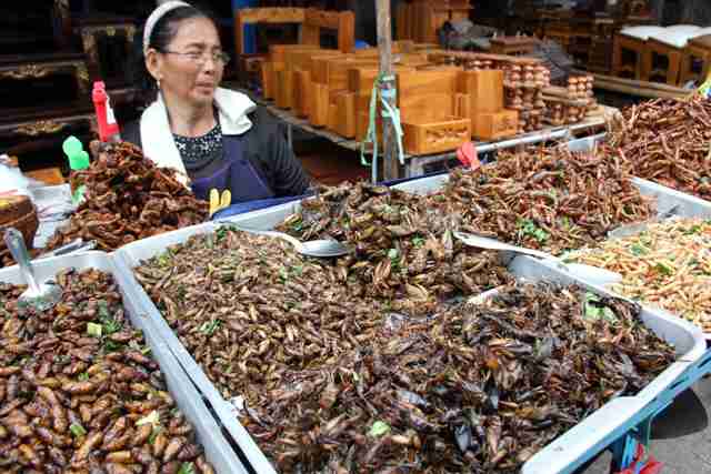 なぜタイの屋台で虫を売ってるの？虫の種類は？｜おしるこトラベル