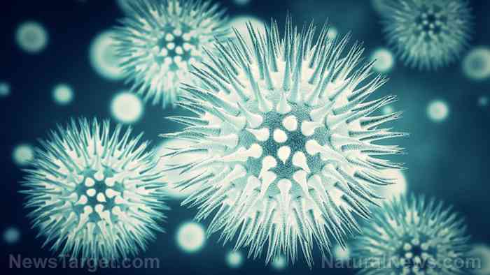 COVID-19 vaccine shedding can harm the unvaccinated and cause serious health problems like fist-sized blood clots - DC Clothesline