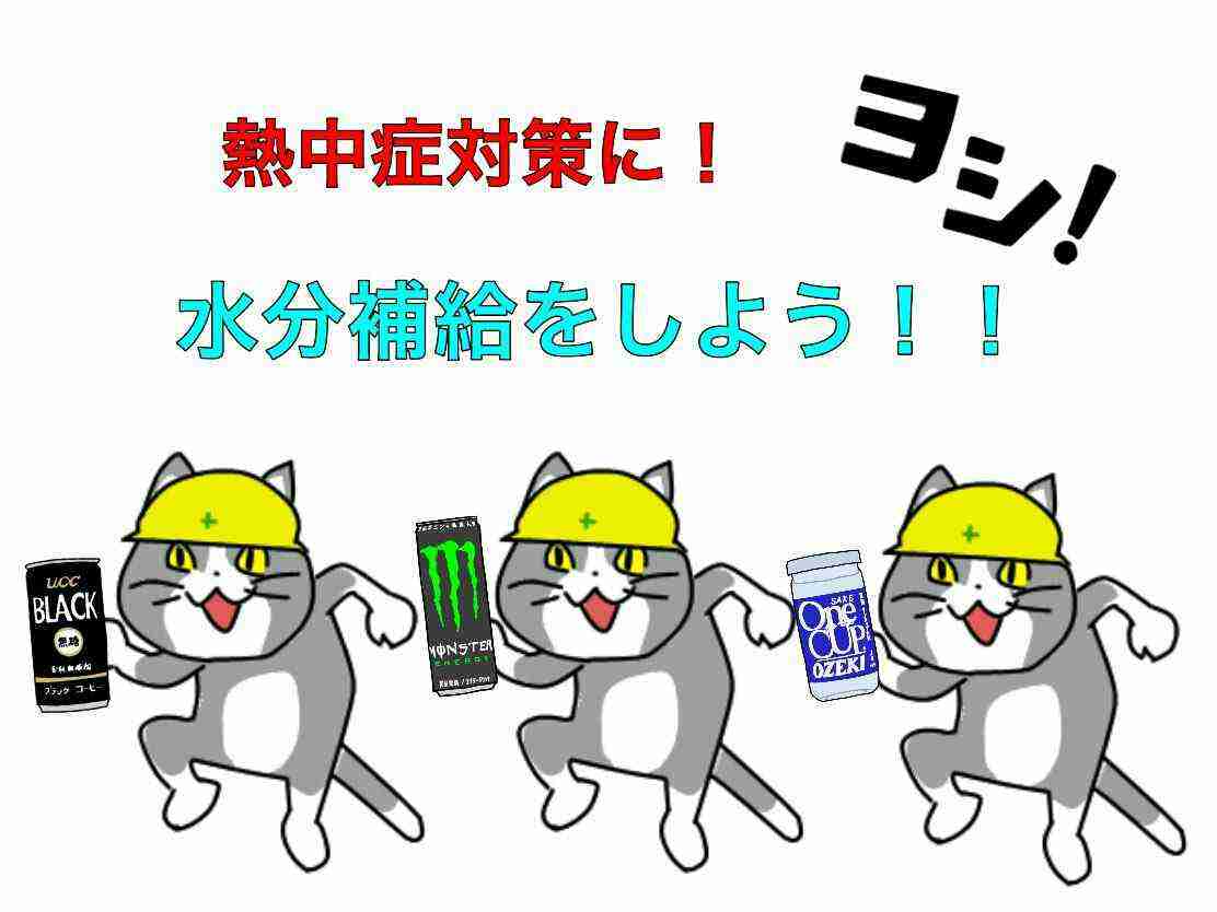 都が後援、大規模屋外フェスで熱中症続出→わずか1日で中止に　「安全を最優先」と苦渋の決断