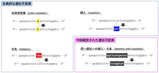 コロナウイルスのゲノム変異に未知の仕組みか、大流行解明に光 東北大（Science Portal） - Yahoo!ニュース