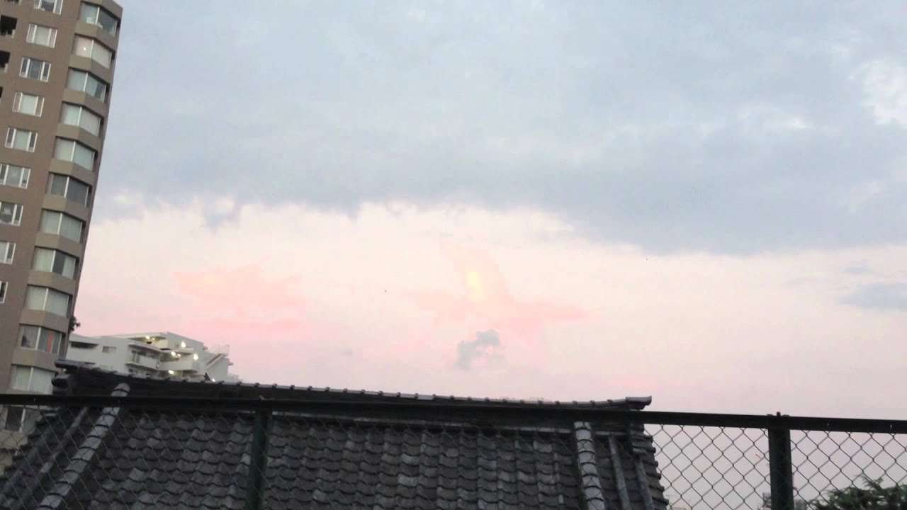 東京上空にフライングヒューマノイド出現　Flying humanoid in TOKYO - YouTube
