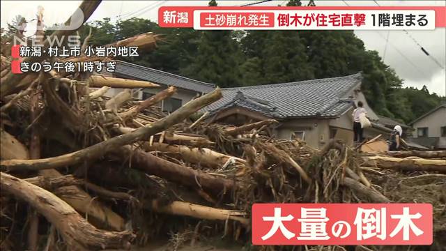 各地で大雨…新潟で“土石流”　“大量倒木”が住宅直撃…橋崩落で消防車“立ち往生”（テレビ朝日系（ANN）） - Yahoo!ニュース