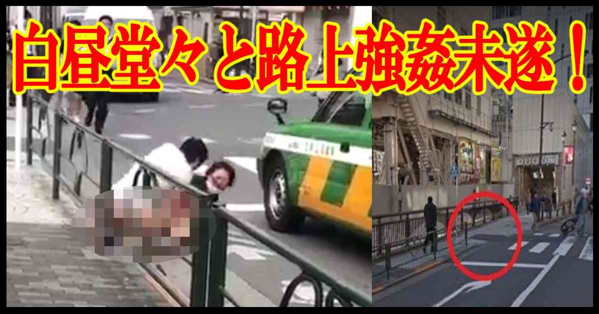 【動画あり】レイプ犯の正体が判明された！白昼堂々と路上で半身露出の男性が強姦未遂 - Hachibachi