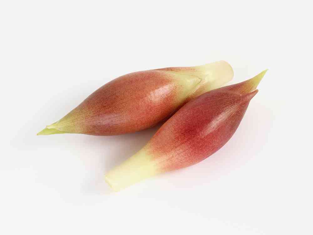みょうが　茗荷　myoga