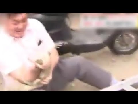 白輪園長、脚立から落ちる。 - YouTube